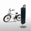 New York 48V Silver Fish Ebike Battery Manufacturer with UL2271 UL2489
