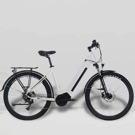 ebike_700_700.jpg